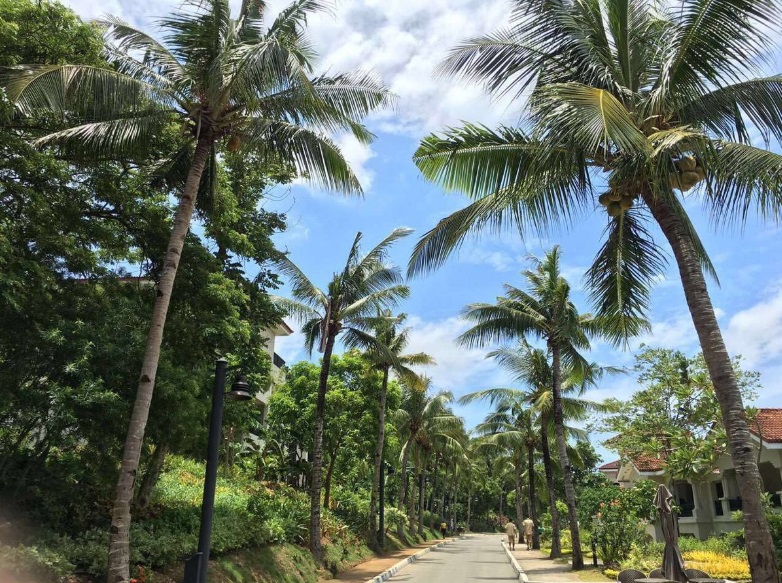 1594083099477424.jpg 709dbd8a0dc3843c5b0975ffa3ee0e3b.jpg