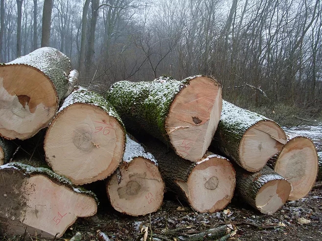 1596771823.jpg webp.webp (5).jpg