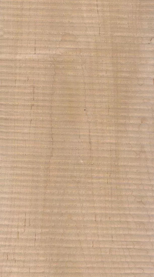 樺木的芯材顏色是淡紅棕色，邊材顏色近白色，板面寬且?guī)в暗哪酒な袌?chǎng)價(jià)格良好，紋理通常是直紋和波浪紋，質(zhì)地均勻，板面有很好的自然光澤度。.webp.jpg